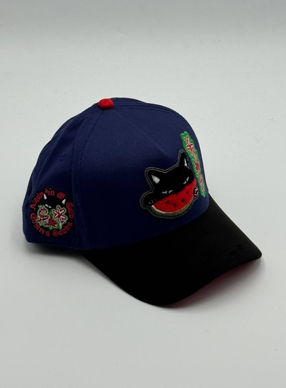 GORRA JC HATS - WATERMELON CAT BLUE